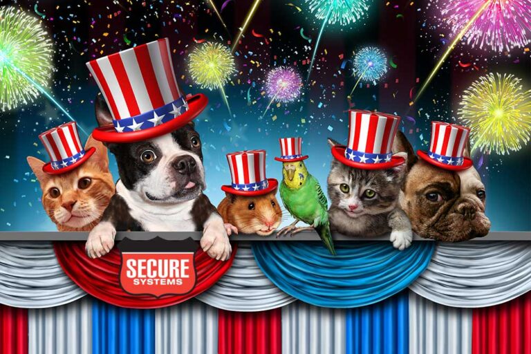 Cats and Dogs don’t do fireworks Secure Systems