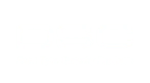 dsc-logo